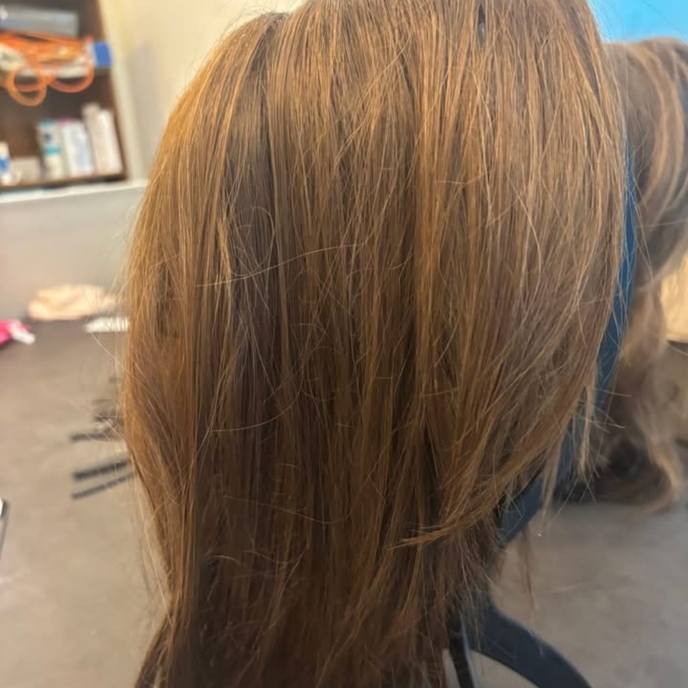 Paula Young Avery Wig